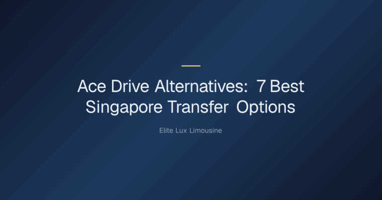 Ace Drive Alternatives — Ace Drive Alternatives: 7 Best Singapore Transfer Options