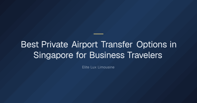 what private airport transfer options in singapore work best for business travelers — Best Private Airport Transfer Options i